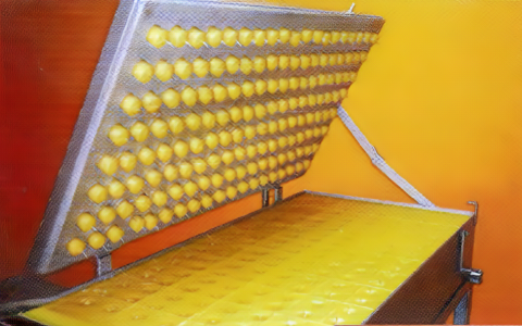 Talep / Teklif Alma Formu